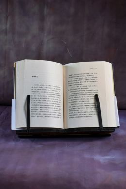 流俗地 (黎紫书) ("Повседневный мир", автор: Ли Цзышу)