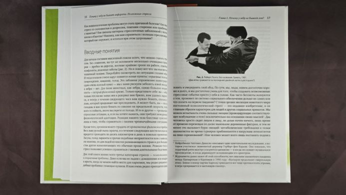 Почему у зебр не бывает инфаркта. Психология стресса