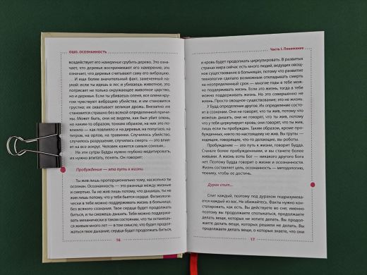 Осознанность. Ключ к жизни в равновесии