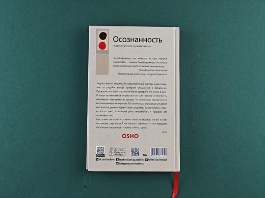 Осознанность. Ключ к жизни в равновесии