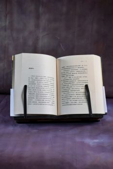 流俗地 (黎紫书) ("Повседневный мир", автор: Ли Цзышу)