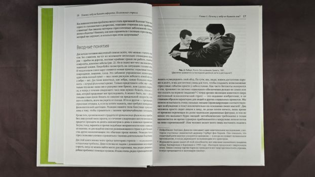 Почему у зебр не бывает инфаркта. Психология стресса