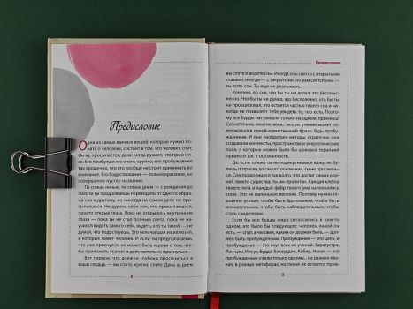 Осознанность. Ключ к жизни в равновесии