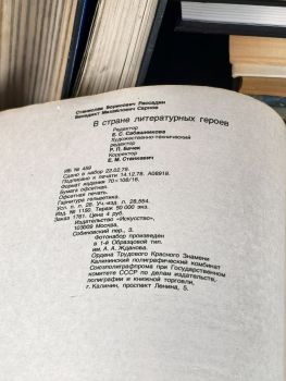 В стране литературных героев